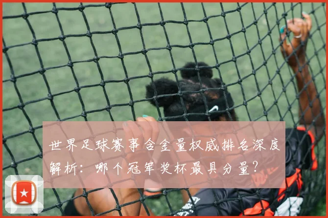 世界足球赛事含金量权威排名深度解析：哪个冠军奖杯最具分量？