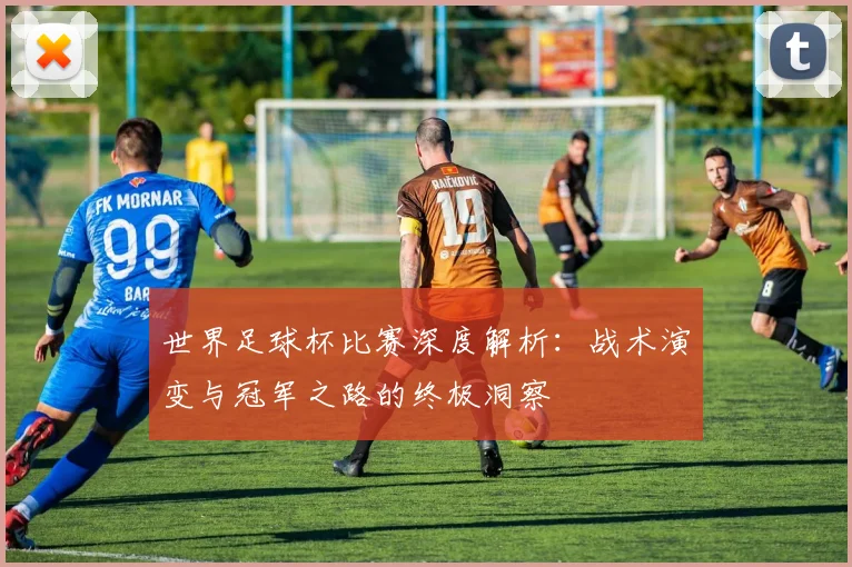 世界足球杯比赛深度解析:战术演变与冠军之路的终极洞察